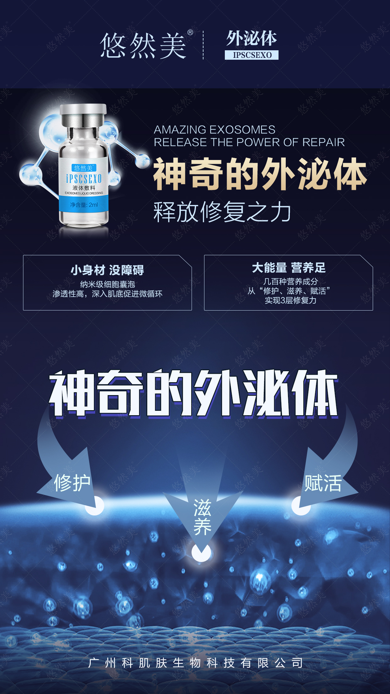 悠然美外泌體神奇的外泌體,釋放修復之力 悠然美外泌體神奇的外泌體,釋放修復之力