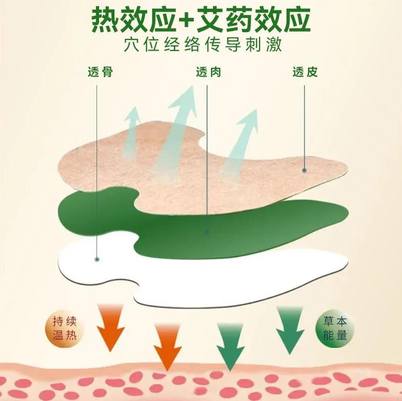 藏后太極能量灸以其熱能+藥能 藏后太極能量灸以其熱能+藥能