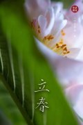 眾志成城，終將迎來春暖花開|抗擊疫情，尚你美正在行動